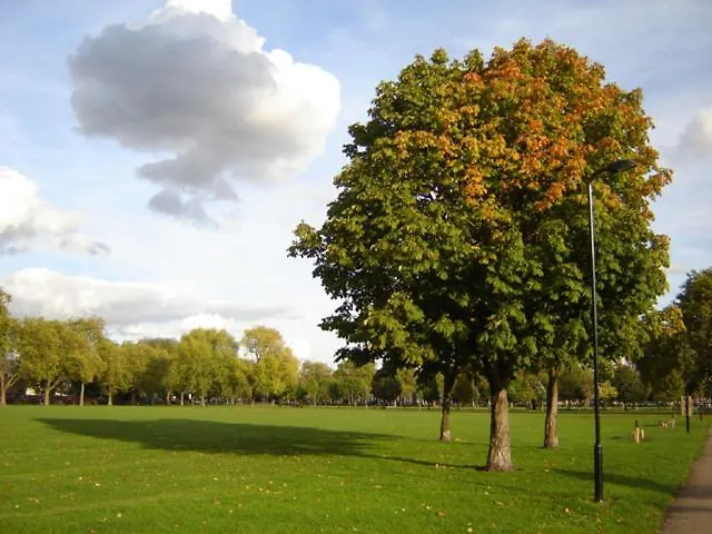Exclusive 1 Bedroom House In Hackney London United Kingdom